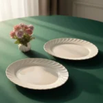 دیس بیضی متوسط